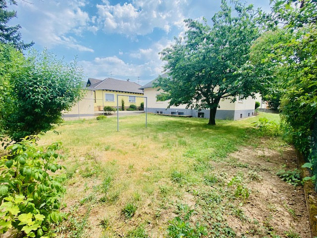 R24 Hausansicht Garten Haus Hattersheim-Eddersheim
