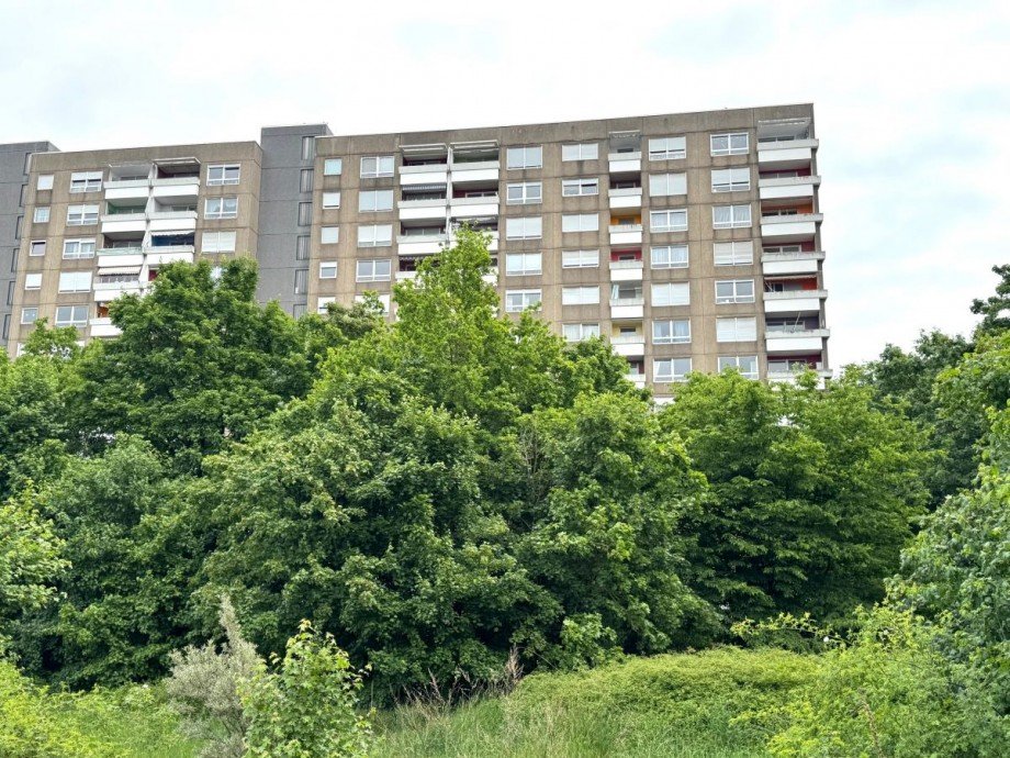 B8 Hausansicht Etagenwohnung Darmstadt-Kranichstein