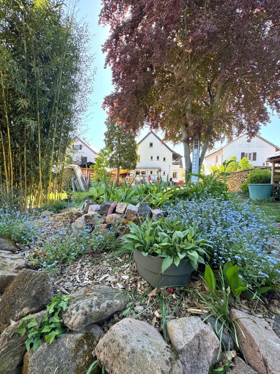 Ausblick Gartenlaube Einfamilienhaus Fl�rsheim