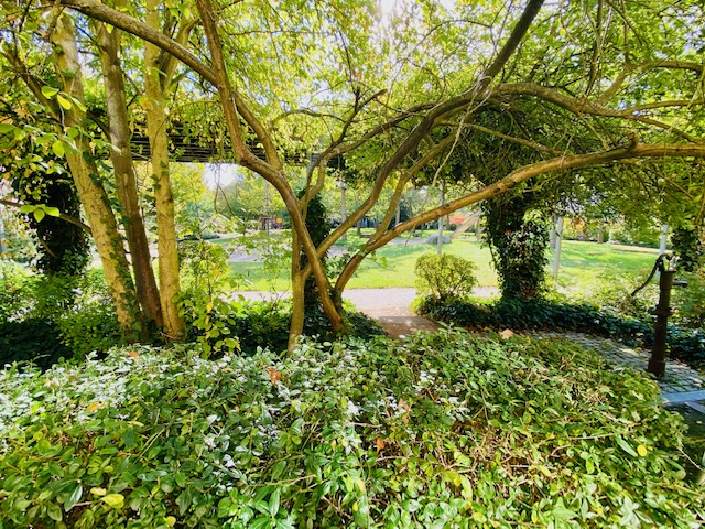 Ausblick Martin Luther King Park Erdgeschosswohnung Mainz
