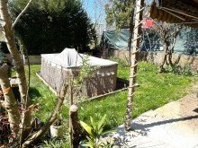 I23 Garten Bild 2 Top 5-Zimmer-Maisonette-Altbauwohnung im EG inkl. S�d-West Garten