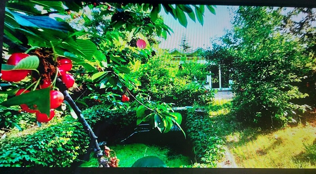 S3 Berlin Blick vom Garten auf das Haus Bungalow Berlin