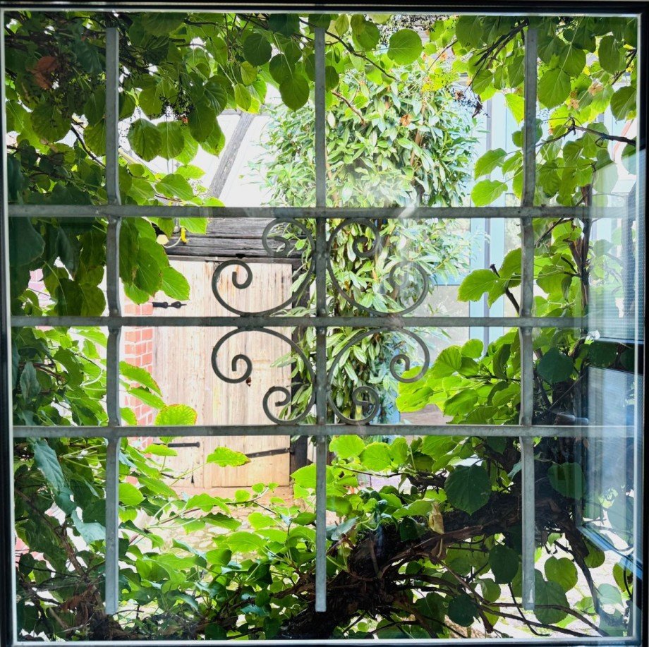 Aussicht Vorderhaus in den Hof Mehrfamilienhaus Hattersheim Eddersheim